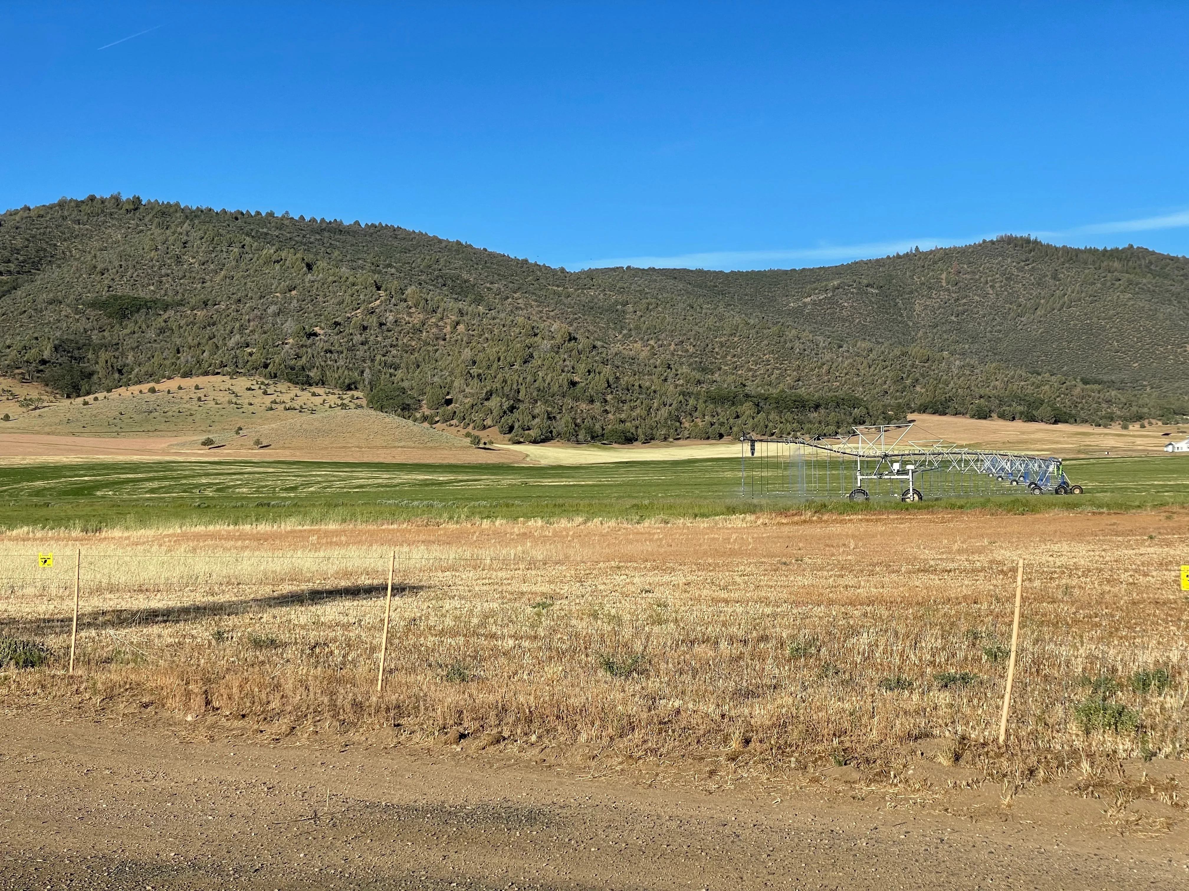 A dark green tree-covered hillside, with a brighter green swathe of grass below it and a browning stretch of grass and a fence in the foreground.